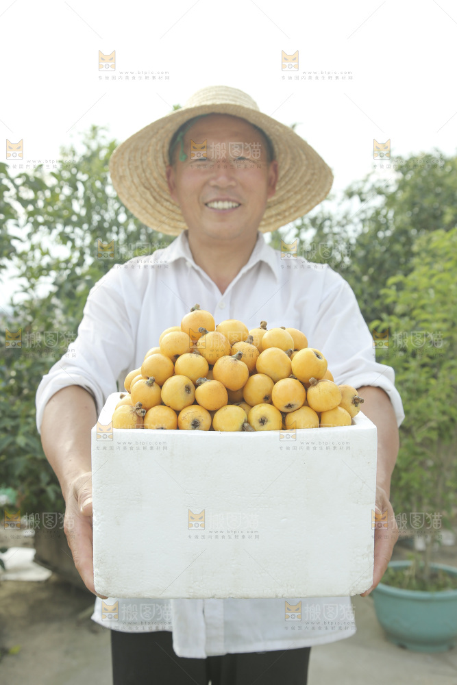 白玉枇杷