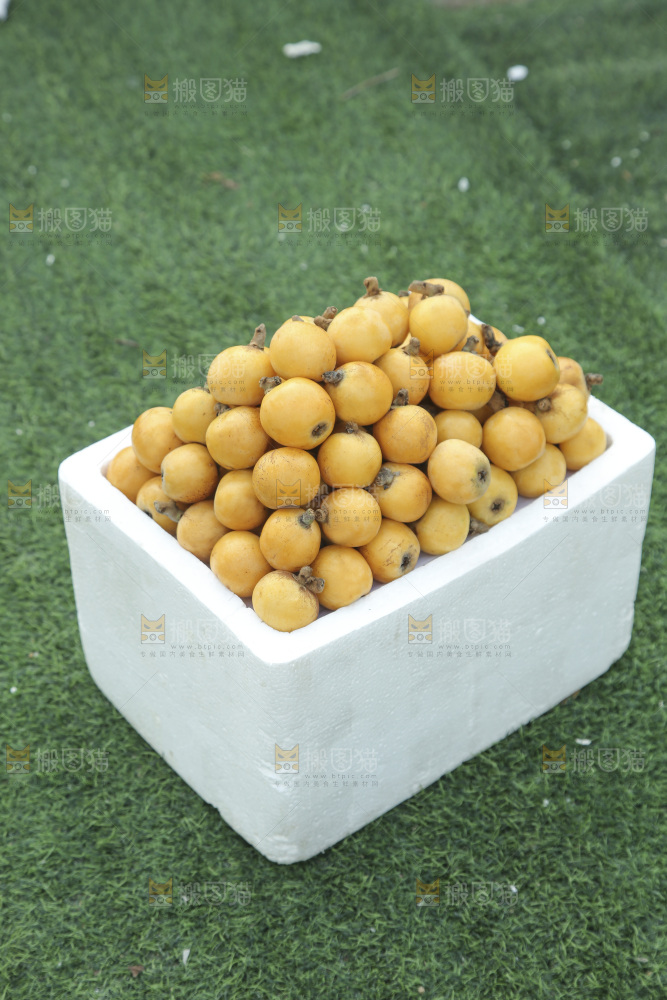 白玉枇杷