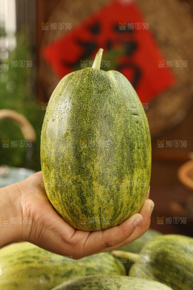 星甜金冠蜜瓜