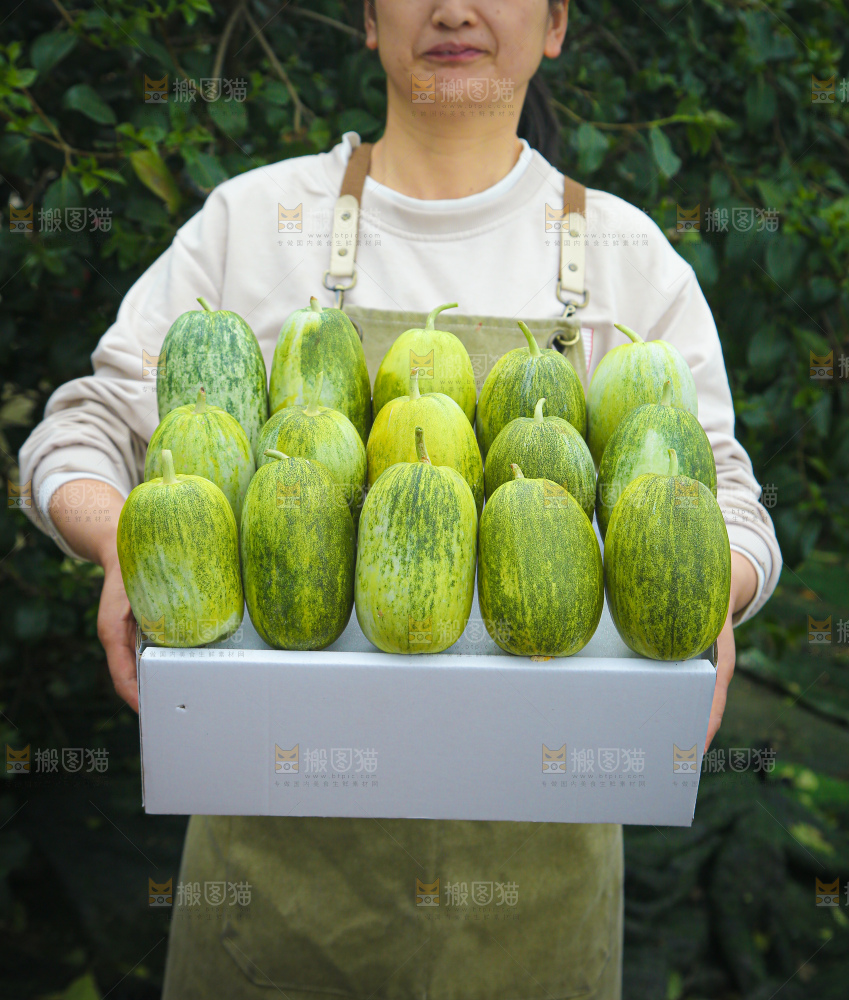 星甜金冠蜜瓜