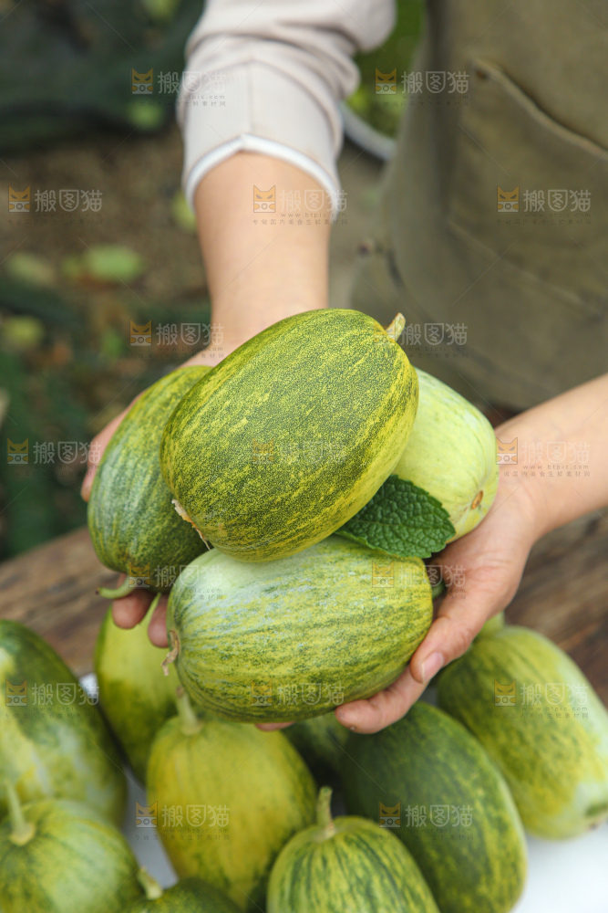 星甜金冠蜜瓜