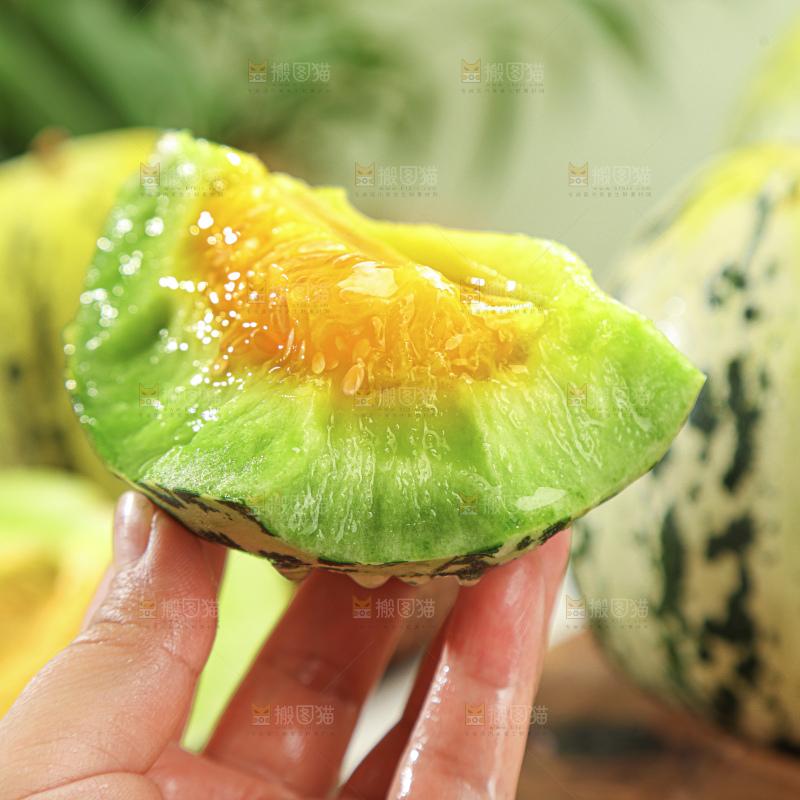 花蕾甜瓜