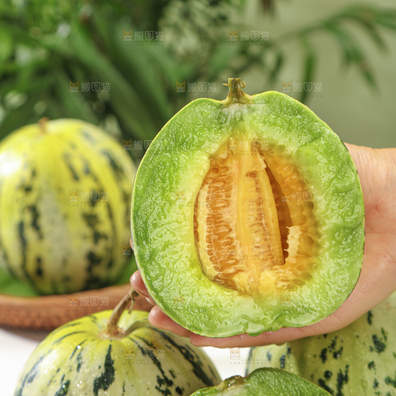 花蕾甜瓜