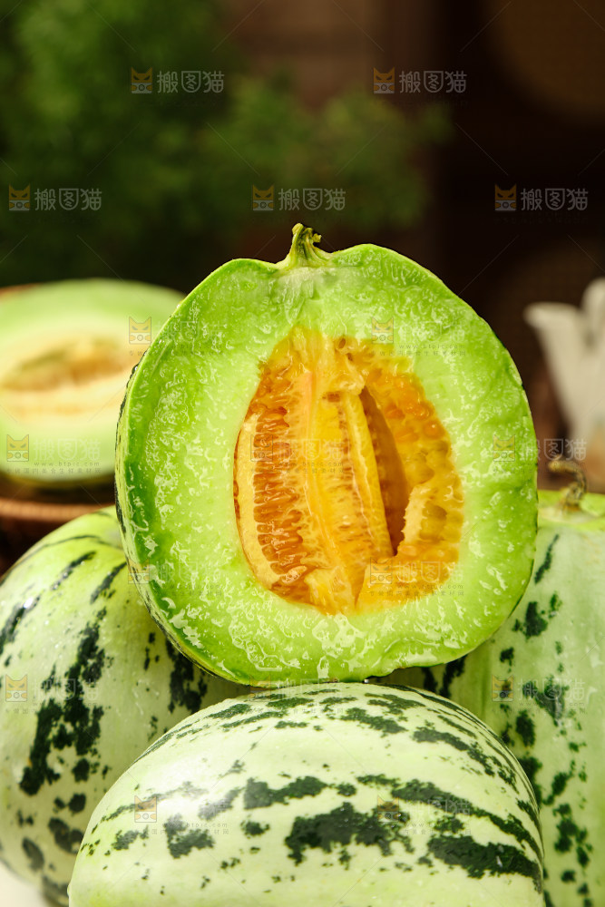 花蕾甜瓜