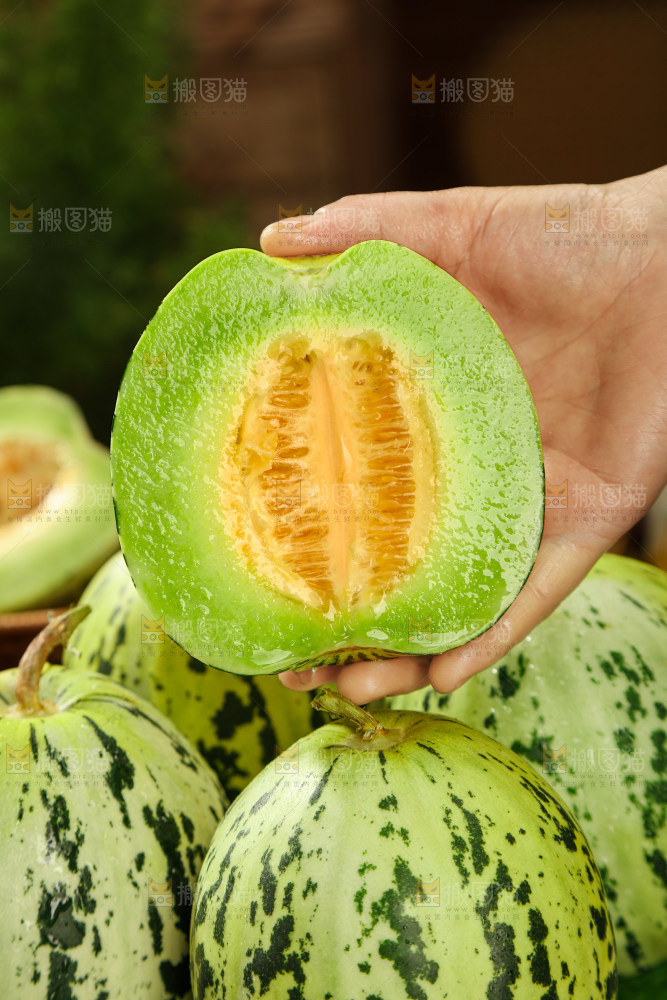 花蕾甜瓜