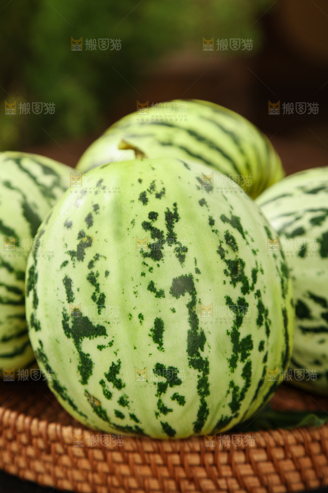 花蕾甜瓜