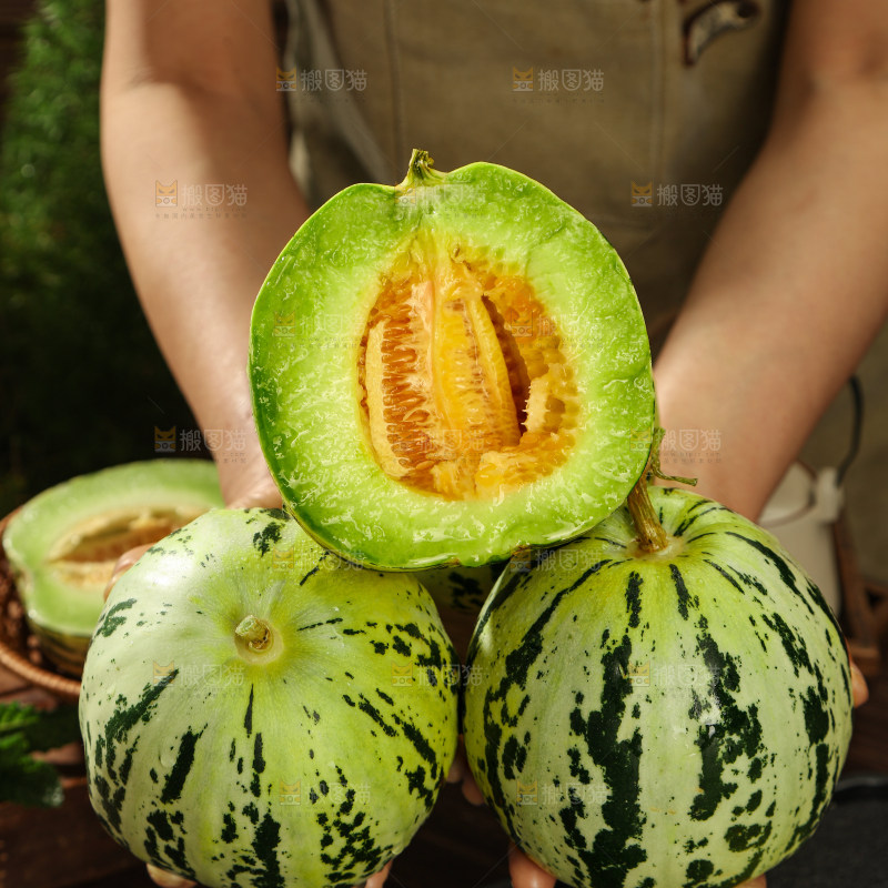 花蕾甜瓜