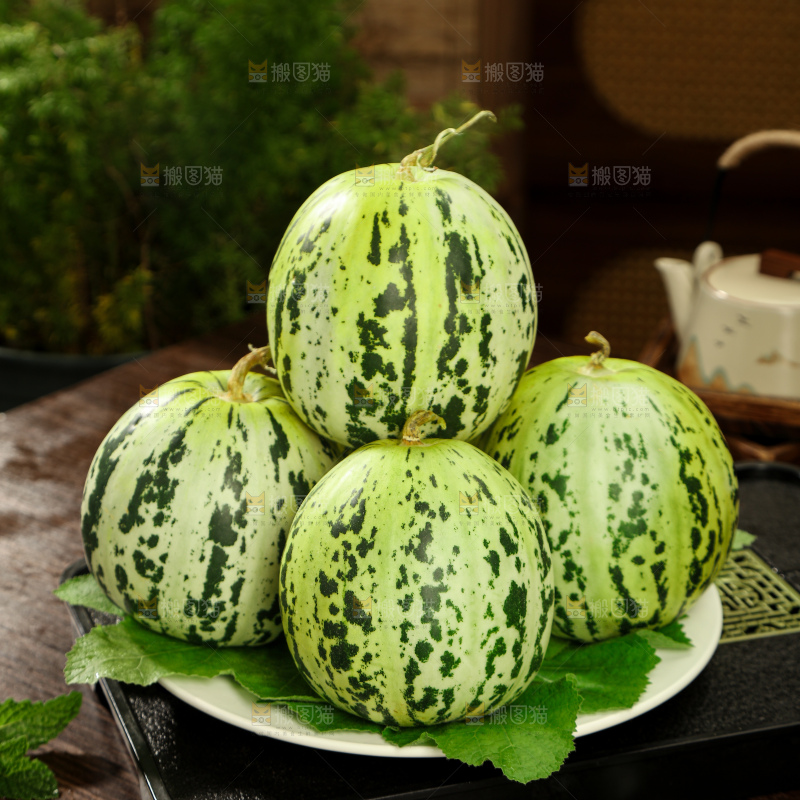 花蕾甜瓜