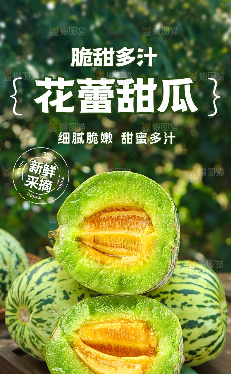 花蕾甜瓜详情页