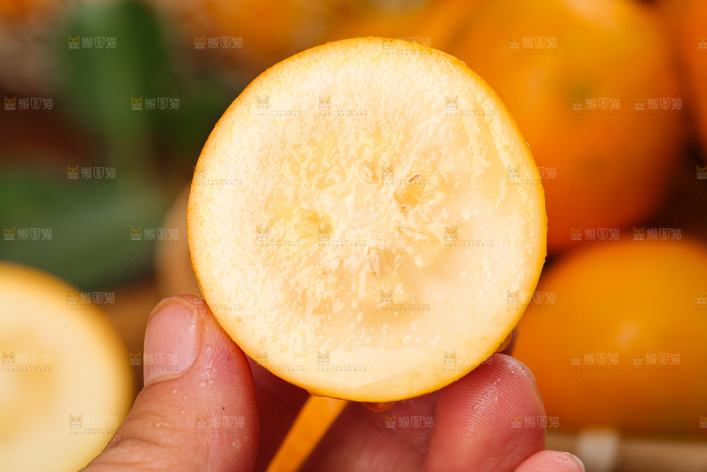 脆蜜金柑