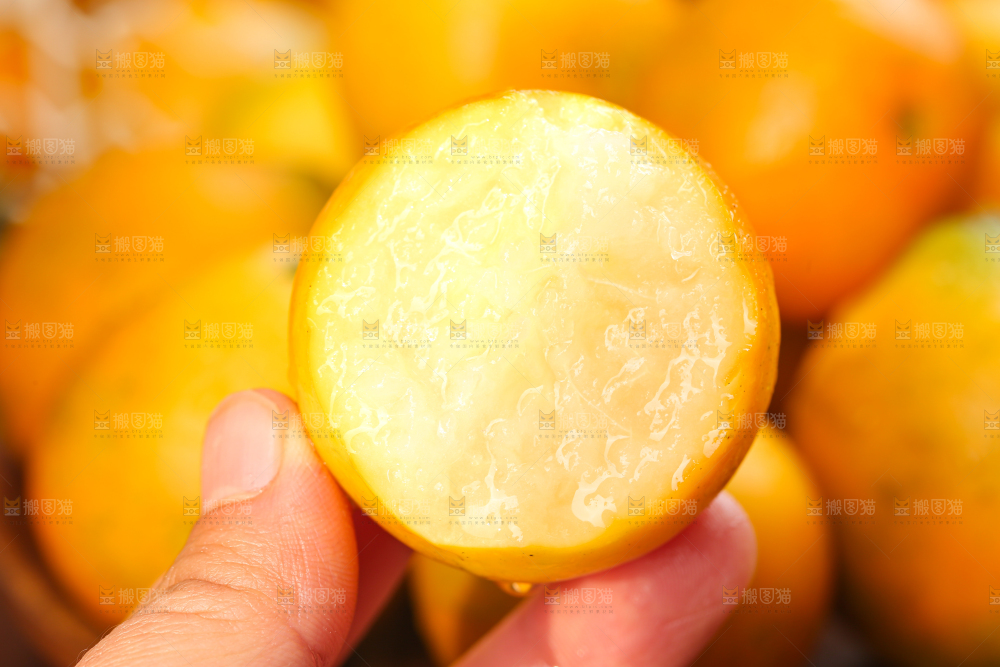 脆蜜金柑