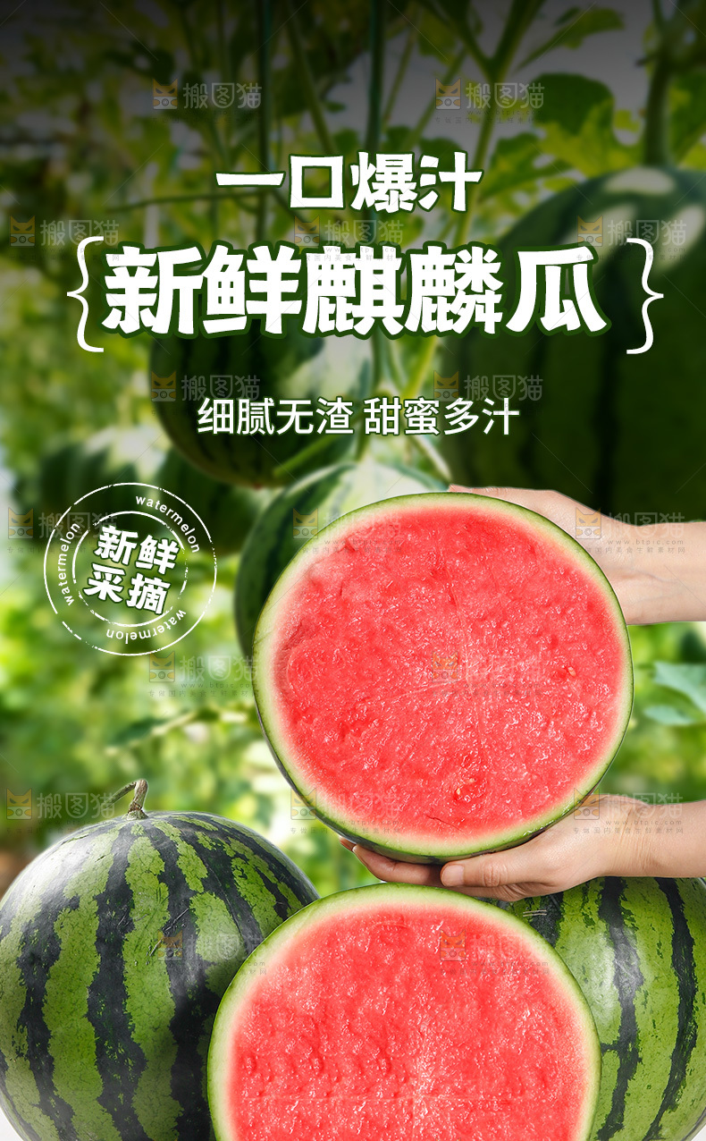 西瓜详情页
