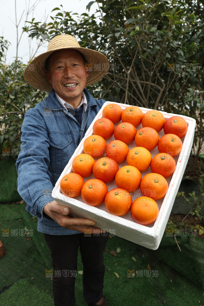 塔罗科血橙
