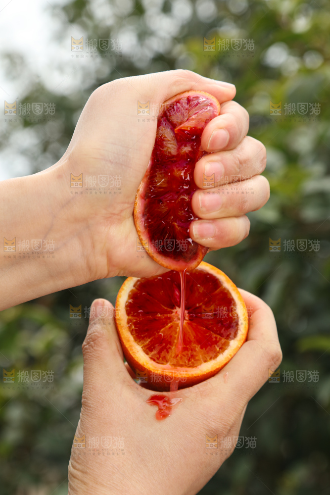 塔罗科血橙