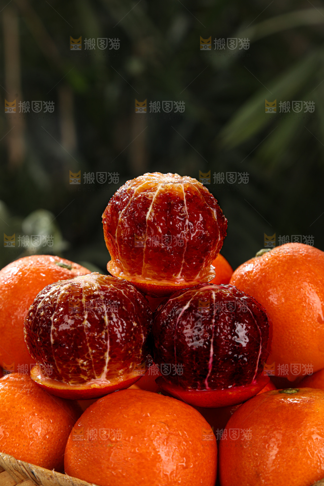 塔罗科血橙