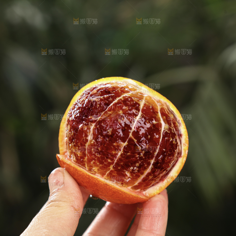 塔罗科血橙