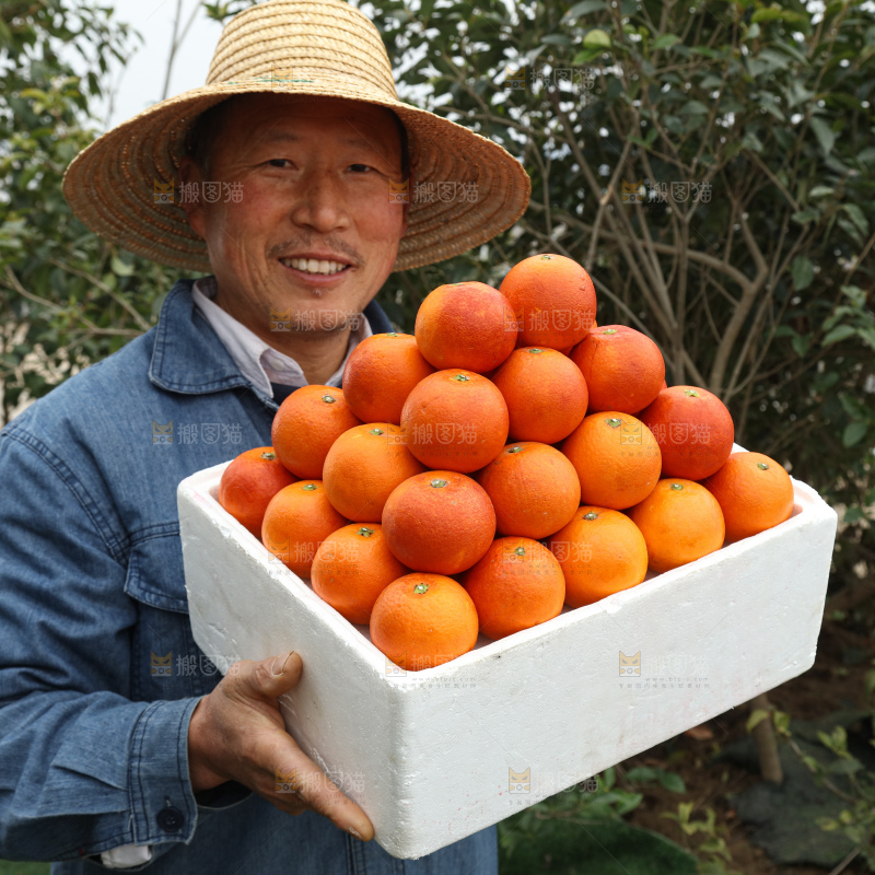 塔罗科血橙