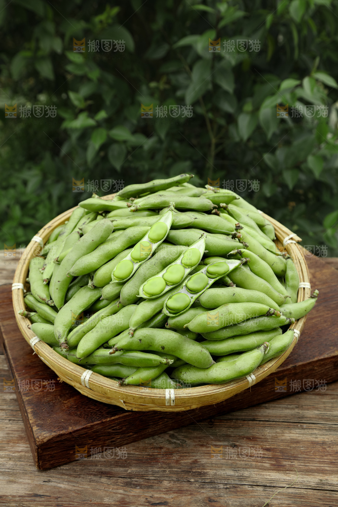蚕豆