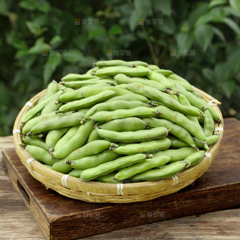 蚕豆