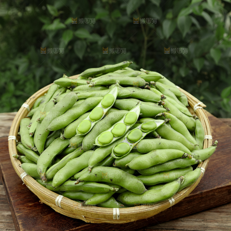 蚕豆