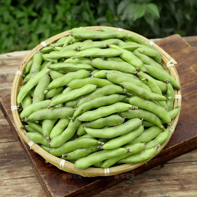 蚕豆