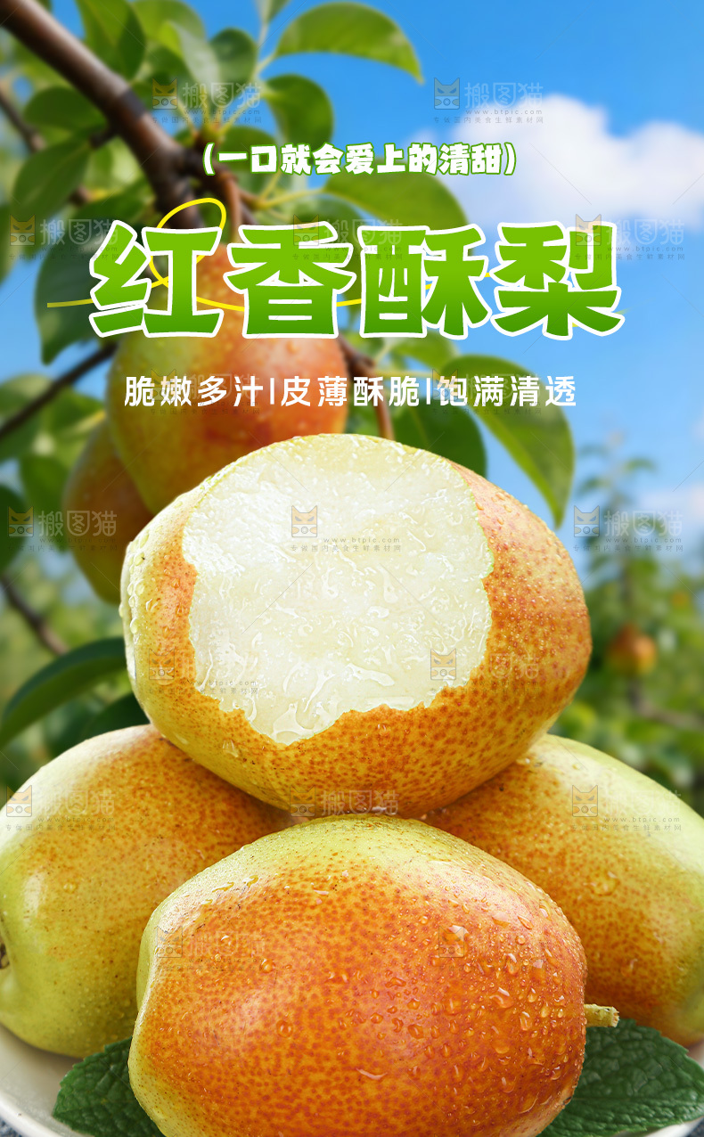红香酥梨详情页