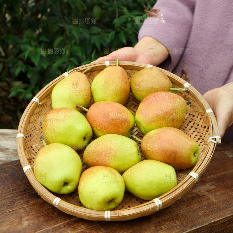 红香酥梨