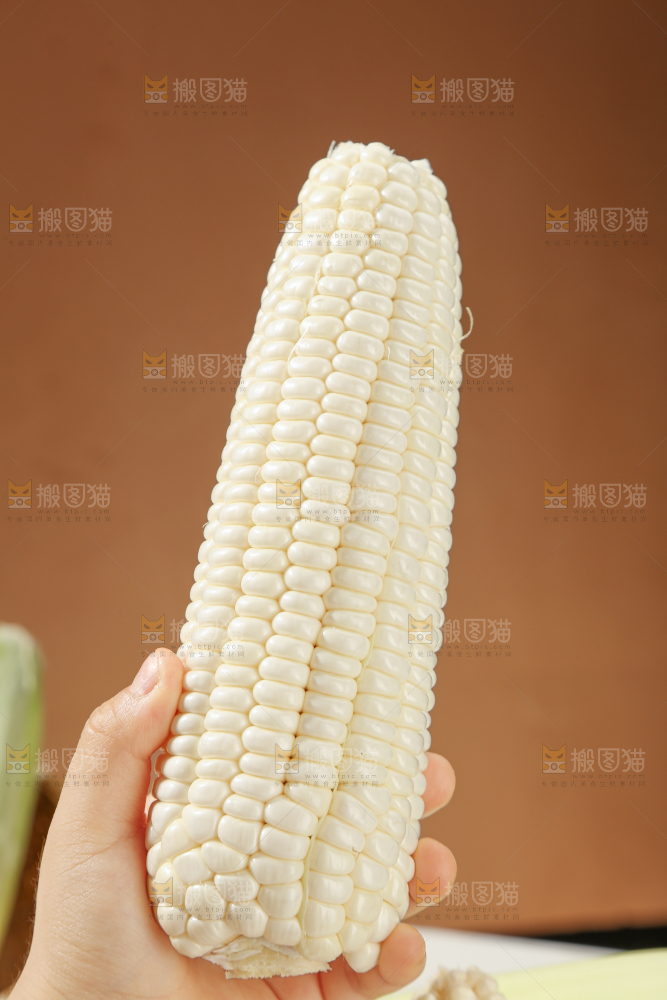 白糯玉米
