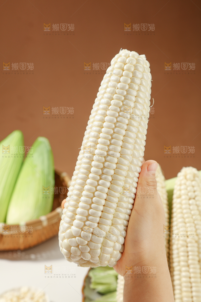 白糯玉米