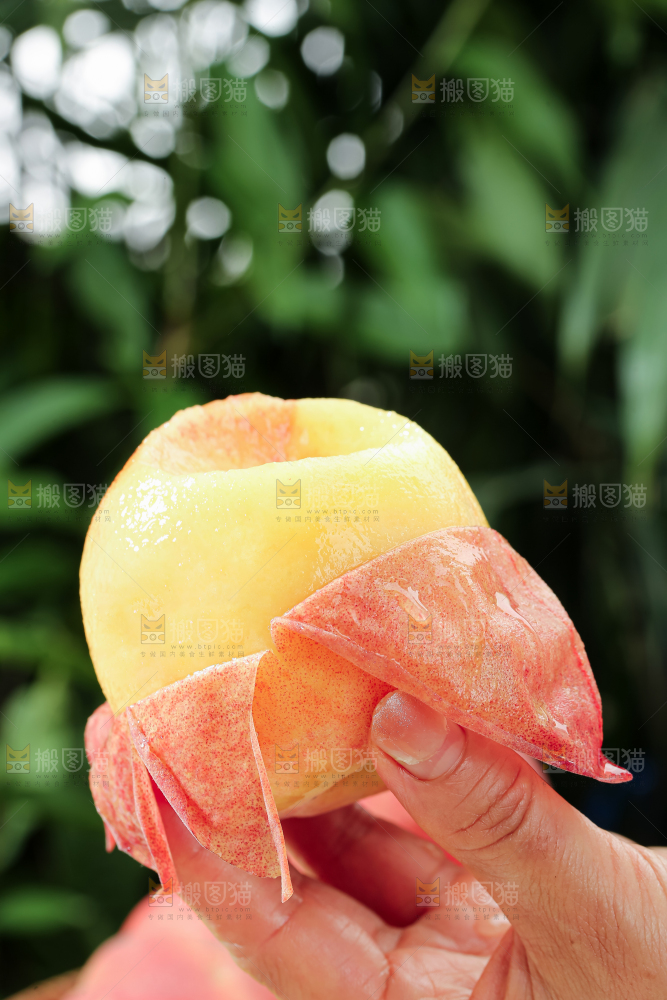水蜜桃