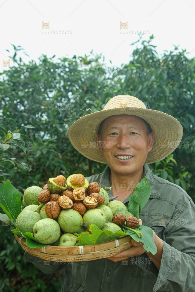 新鲜核桃