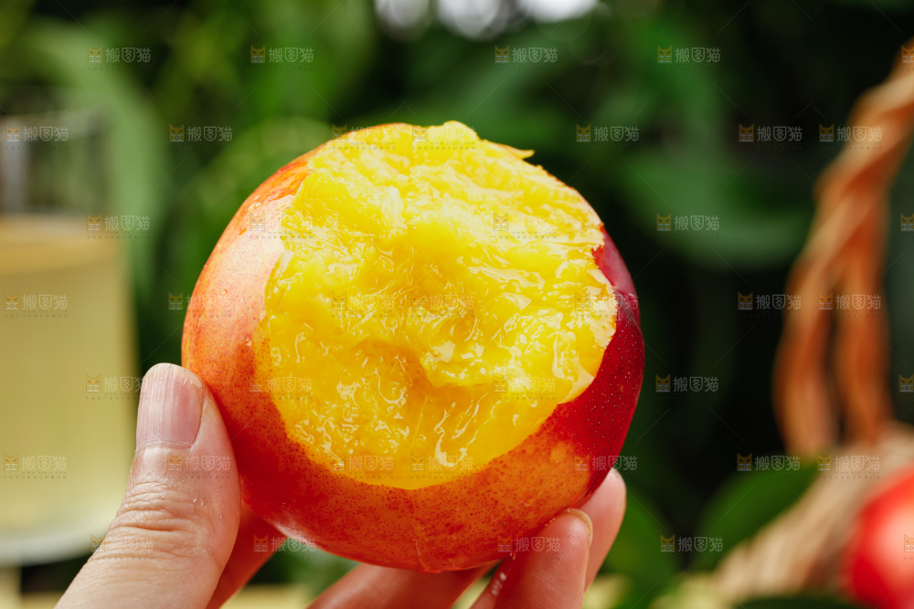 油桃