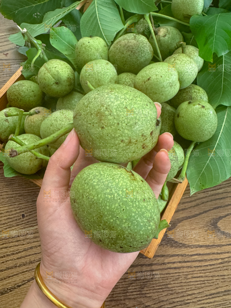 新鲜核桃