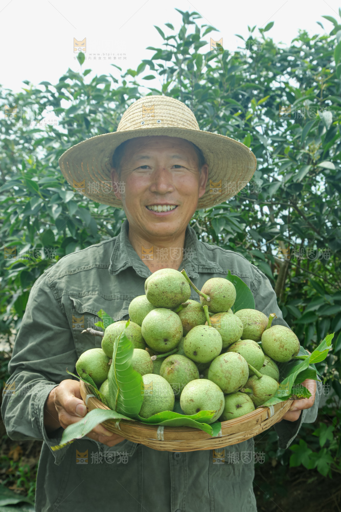 新鲜核桃
