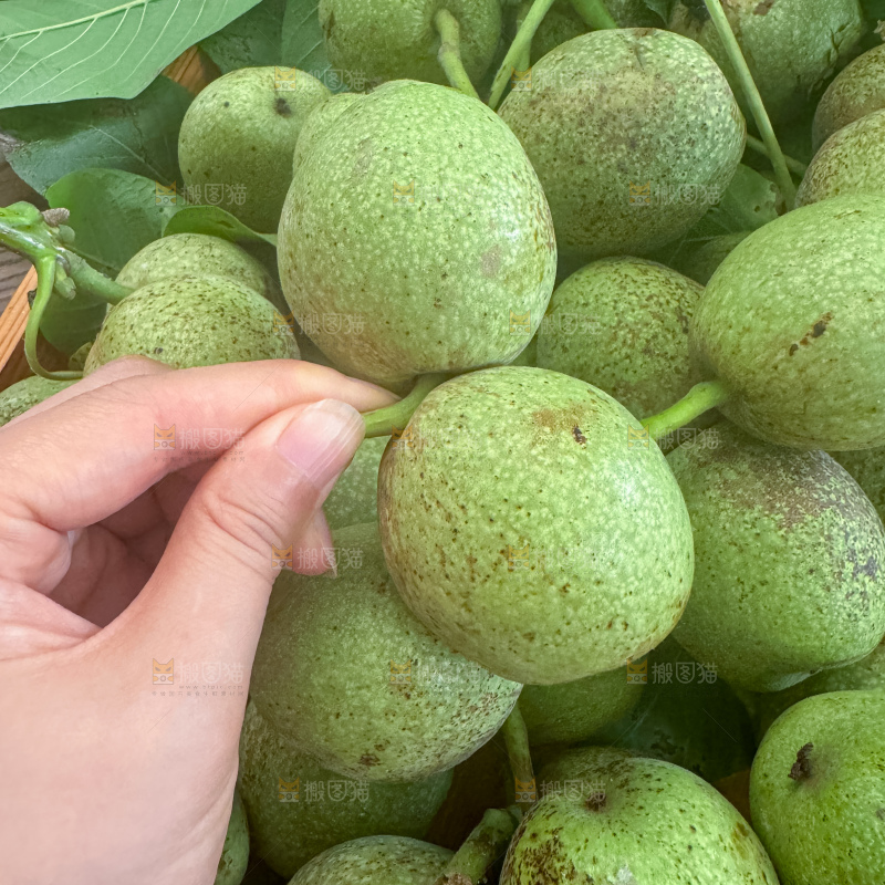 新鲜核桃