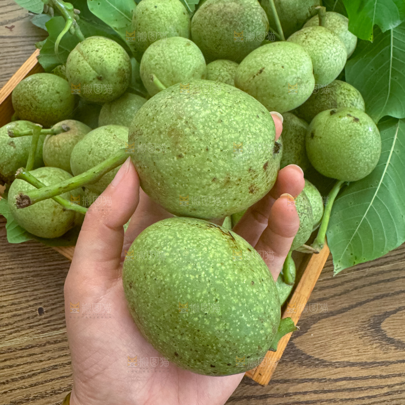 新鲜核桃