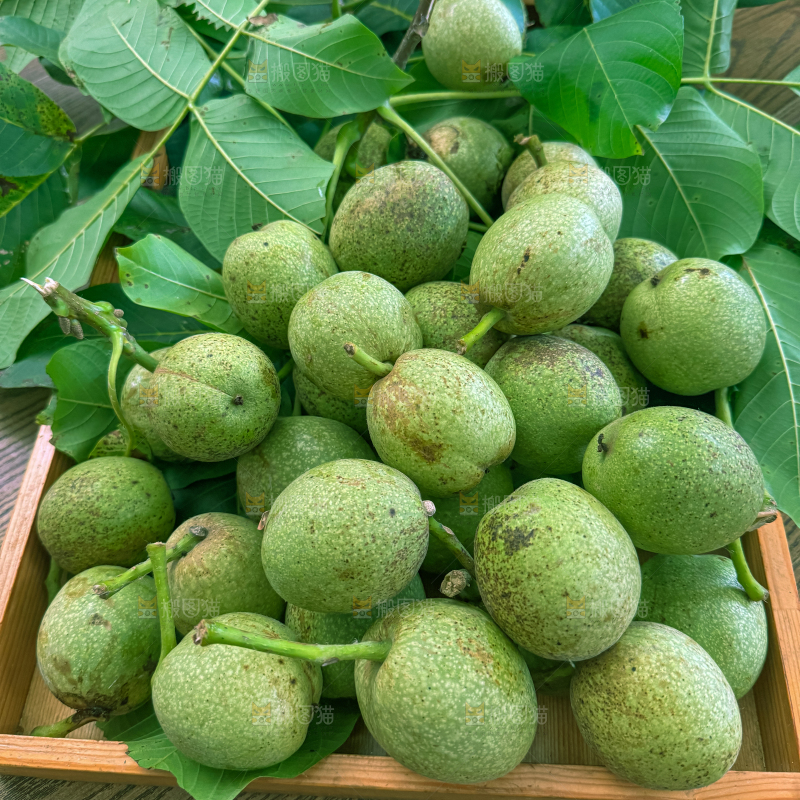 新鲜核桃