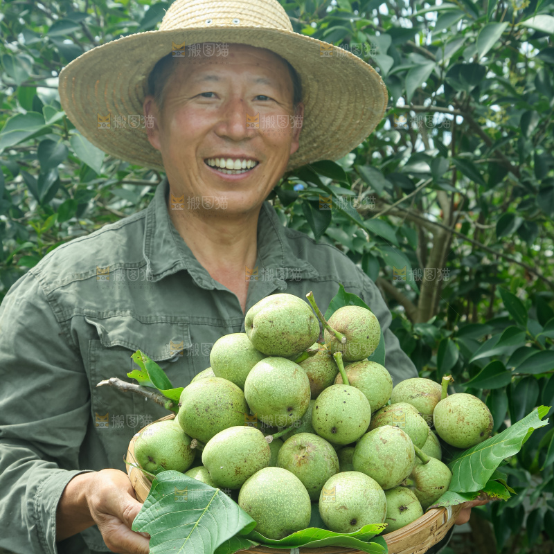 新鲜核桃