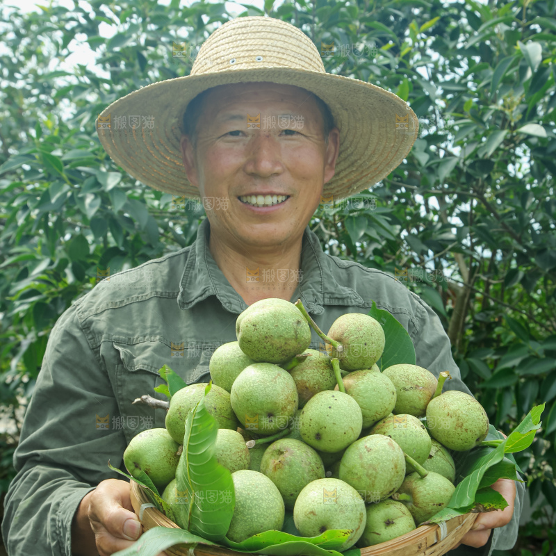新鲜核桃