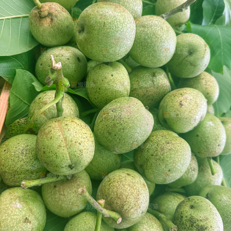 新鲜核桃