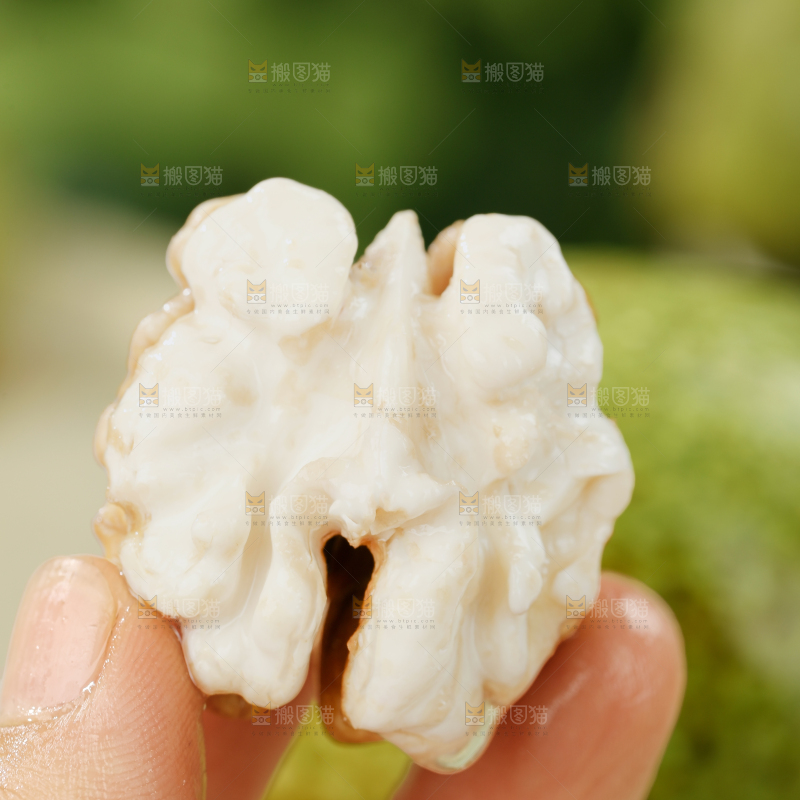 新鲜核桃