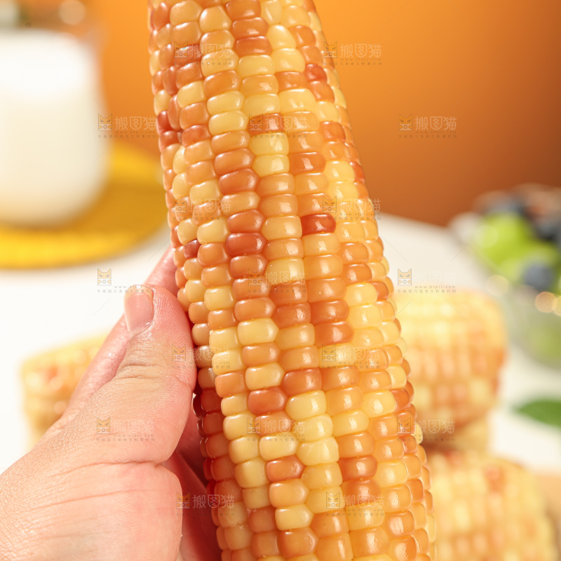 花糯玉米