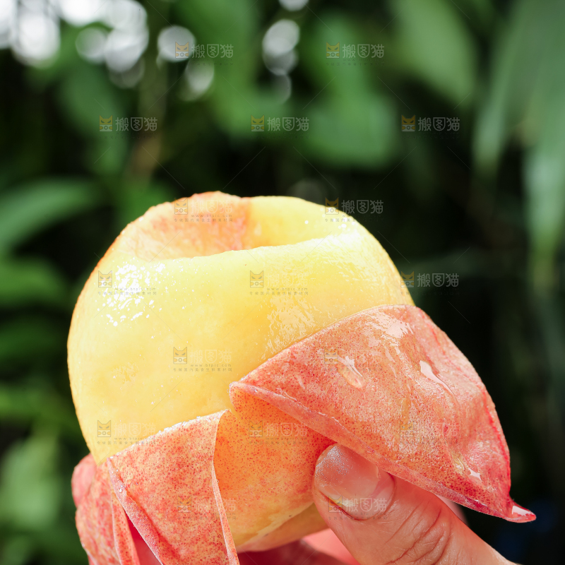 水蜜桃