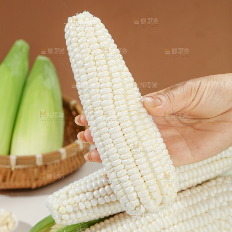 白糯玉米