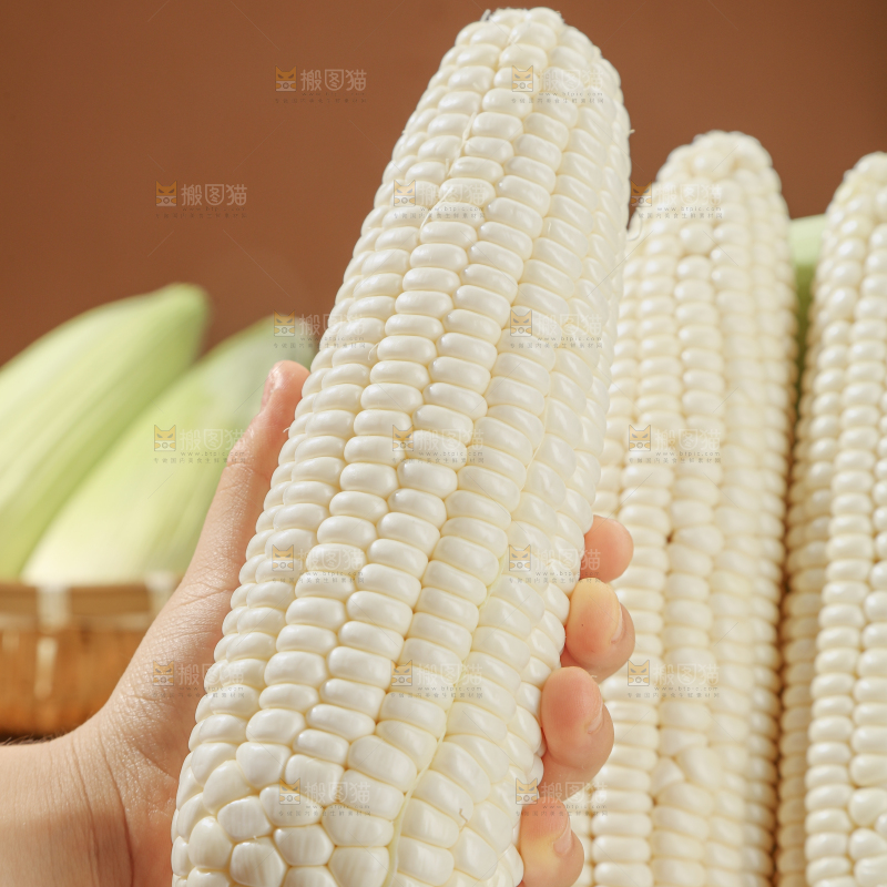 白糯玉米