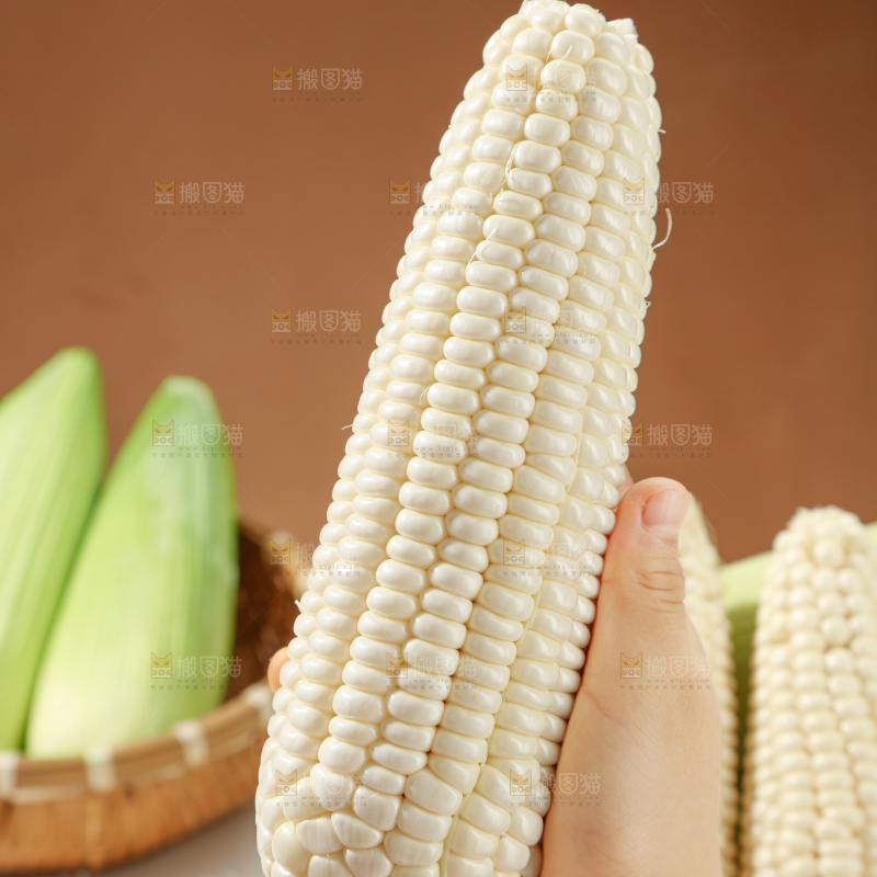 白糯玉米