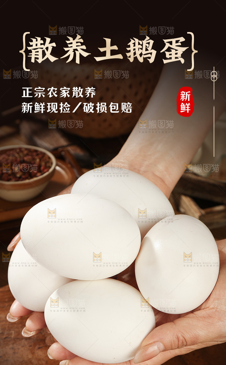 新鲜鹅蛋详情页