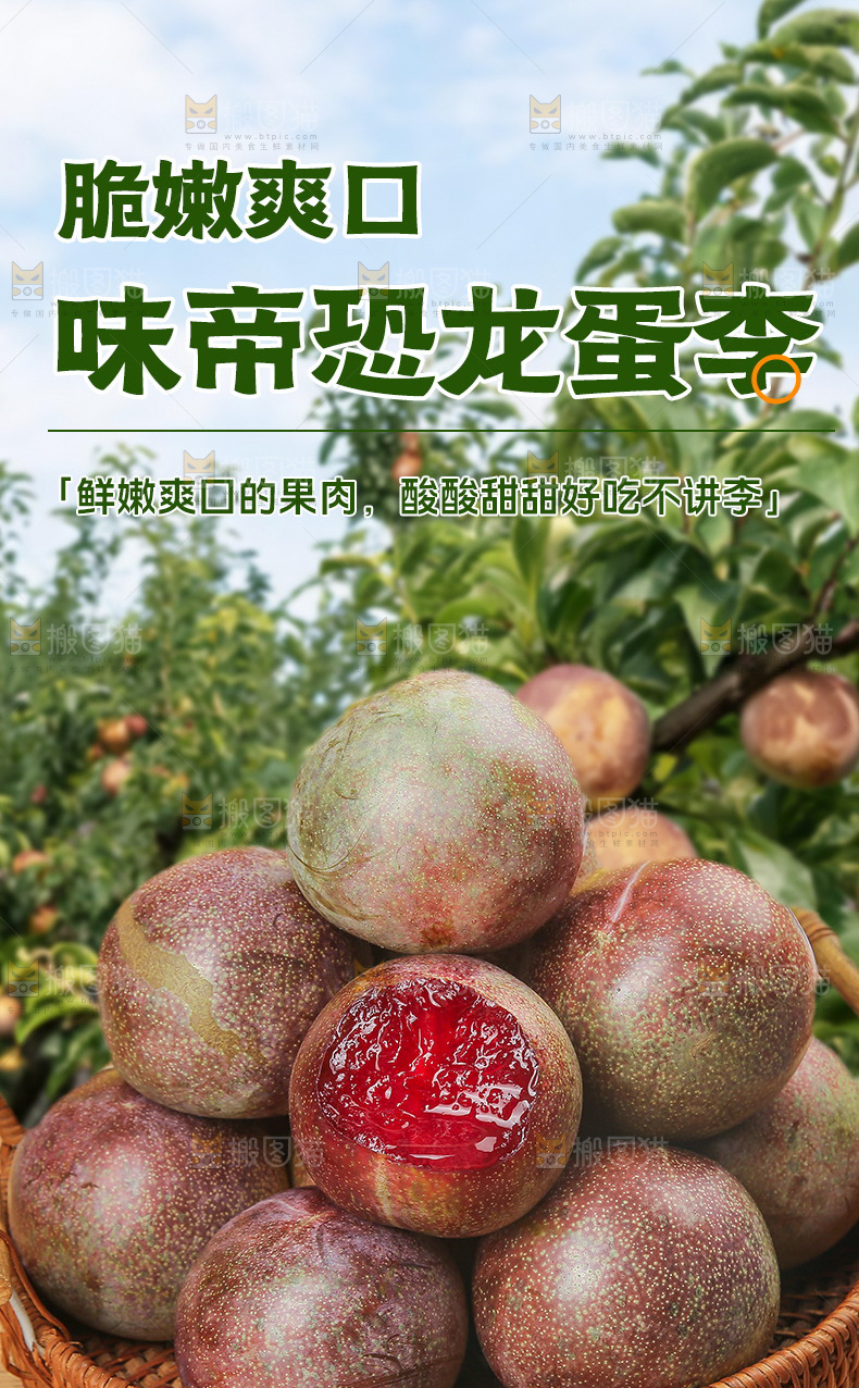 恐龙蛋李详情页