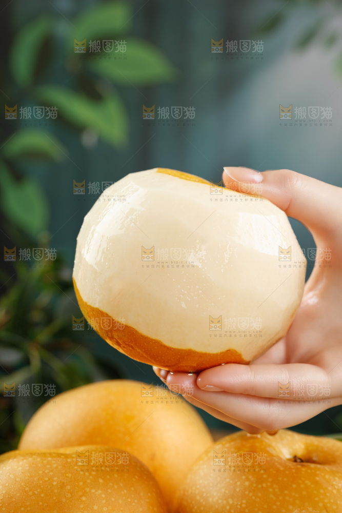 秋月梨