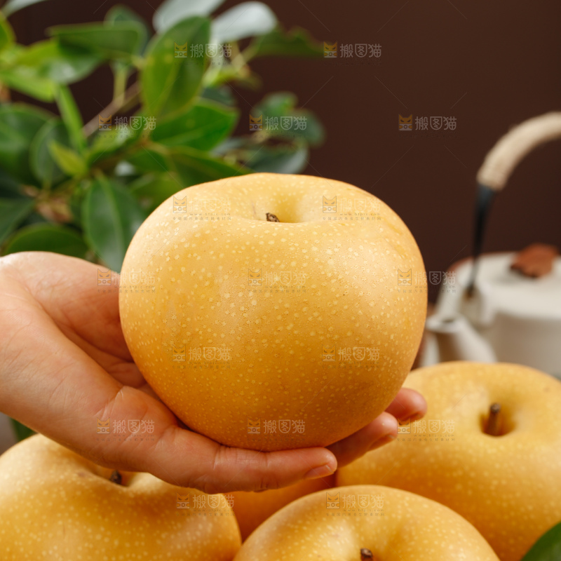 秋月梨